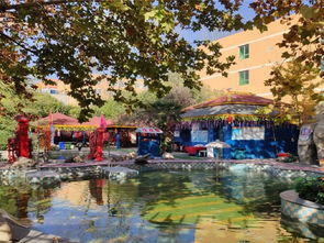 西安秦龍溫泉游玩全攻略 門票價(jià)格、地址、溫泉體驗(yàn)與貼心貼士